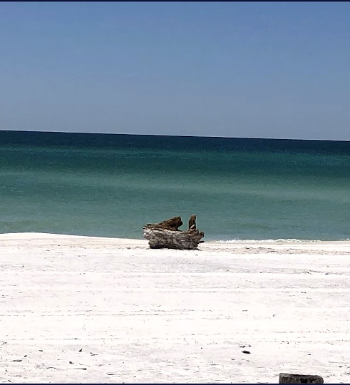 Eastern Lake coastal dune lake in Seagrove Beach