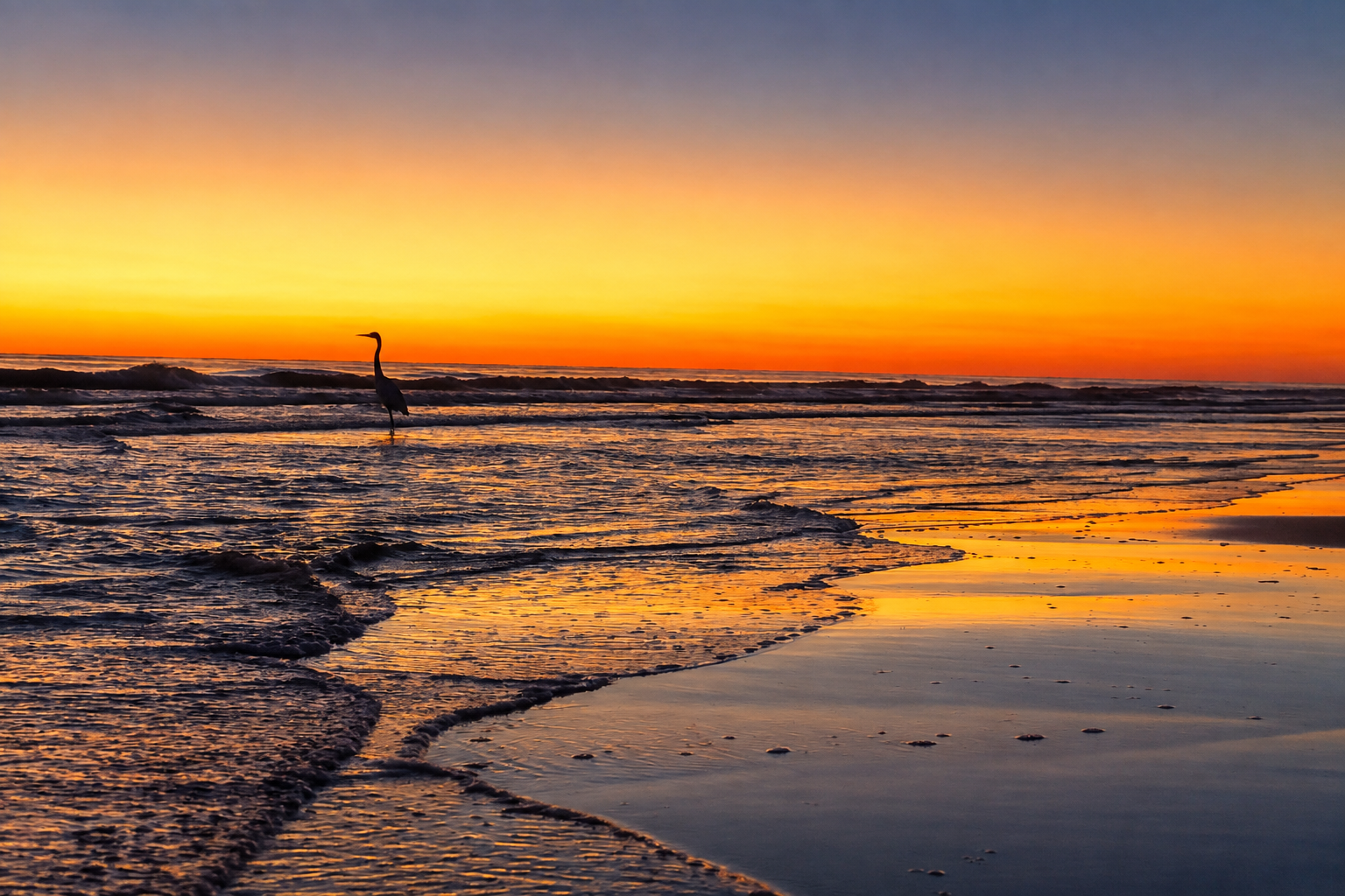 Sunset at Leeward Unit 2, Seagrove Beach on 30A — the great blue heron on the beach at golden hour
